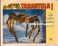 VHP7 310 TARANTULA lobby card #7 '55 photo gigantic spider closeup!