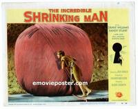 #323 INCREDIBLE SHRINKING MAN lobby card #7 '57 giant yarn ball!!