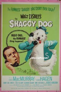 SHAGGY DOG R67 1sheet