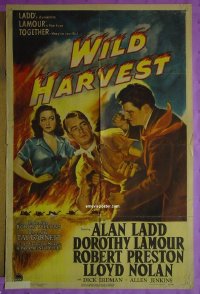 #8511 WILD HARVEST 1sh '47 Alan Ladd
