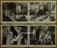 #7297 AFRICAN MANHUNT 4 8x10s 54 Healey,Booth 