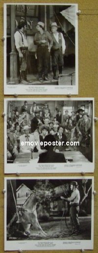 #7040 APPLE DUMPLING GANG 3 8x10s '75 Knotts 