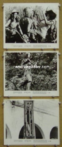 #7060 BIG DOLL HOUSE 3 8x10s '71 Pam Grier 