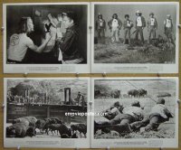 #7557 BLESS THE BEASTS & CHILDREN 4 8x10s '71 