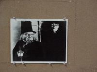#248 CABINET OF DR CALIGARI 8x10 R60s Krauss 
