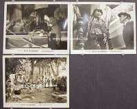 #6382 CRY OF THE WEREWOLF 8x10 44 cool image! 