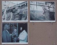#445 DON'T LOOK NOW 3 color 8x10 mini LCs '74 