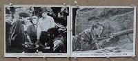 #626 FOR WHOM THE BELL TOLLS two 8x10s R57 