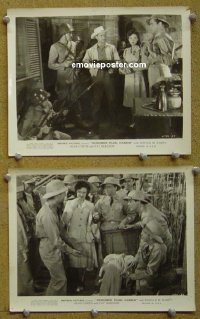 #6908 REMEMBER PEARL HARBOR 2 8x10s '42 WWII 