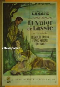 #094 COURAGE OF LASSIE Argentinean poster '46 
