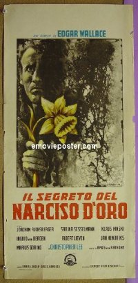#9187 DEVIL'S DAFFODIL Italy locan '61 giallo 