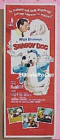 #403 SHAGGY DOG insert '59 Disney, MacMurray 