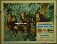 #560 STOP LOOK & LAUGH LC #6 '60 chimp card! 