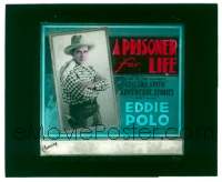 #066 PRISONER FOR LIFE glass slide '19 Polo 