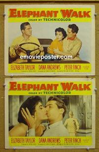 F916 ELEPHANT WALK 2 lobby cards '54 sexy Elizabeth Taylor!