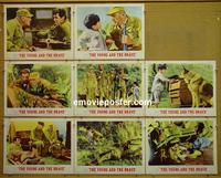 F608 YOUNG & THE BRAVE 8 lobby cards '63 Rory Calhoun