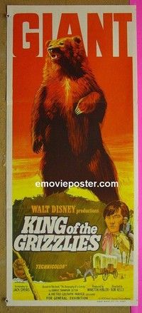K567 KING OF THE GRIZZLIES Australian daybill movie poster '70 Walt Disney
