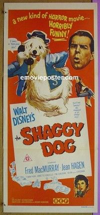 K828 SHAGGY DOG Australian daybill movie poster R70s Disney, MacMurray