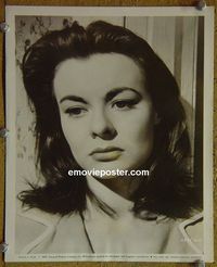W037 ANNE HEYWOOD portrait vintage 8x10 still 1959