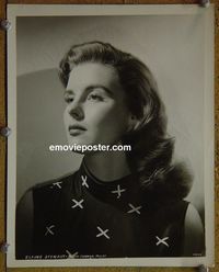 W232 ELAINE STEWART portrait vintage 8x10 still 1950s