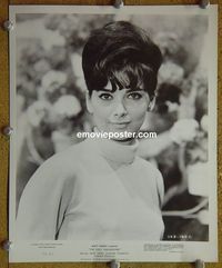 W814 SUZANNE PLESHETTE portrait vintage 8x10 still 1966
