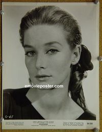 W821 TANIA MALLET portrait vintage 8x10 still 1964