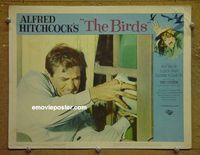 K623 BIRDS lobby card #6 '63 Hitchcock, Rod Taylor close up!