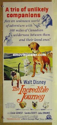 t259 INCREDIBLE JOURNEY Australian daybill movie poster '63 Walt Disney