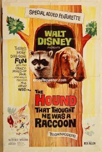 y541 HOUND THAT THOUGHT HE WAS A RACCOON one-sheet movie poster '60 Disney