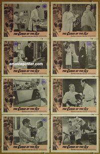 a195 CURSE OF THE FLY 8 movie lobby cards '65 Brian Donlevy, Baker