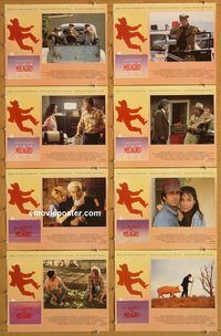 a480 MILAGRO BEANFIELD WAR 8 movie lobby cards '88 Robert Redford