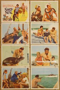 a607 SANDY THE SEAL 8 movie lobby cards '69 Marianne Koch, English!