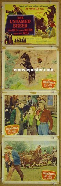 e514 UNTAMED BREED 4 vintage movie lobby cards48 Sonny Tufts, Barbara Britton