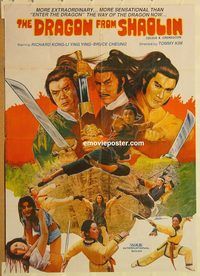 s321 DRAGON FROM SHAOLIN Pakistani movie poster '70s kung fu!