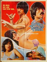 t089 STRIKE OF THE THUNDERKICK TIGER Pakistani movie poster '78 Wong