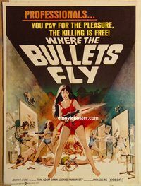 t239 WHERE THE BULLETS FLY Pakistani movie poster '66 spies!