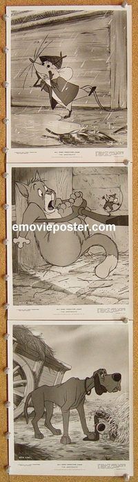 u436 ARISTOCATS 3 8x10 movie stills '71 Walt Disney feline cartoon!