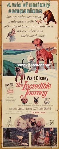 w277 INCREDIBLE JOURNEY insert movie poster '63 Walt Disney animals!