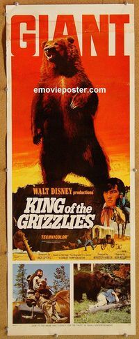 w295 KING OF THE GRIZZLIES insert movie poster '70 Walt Disney bears!