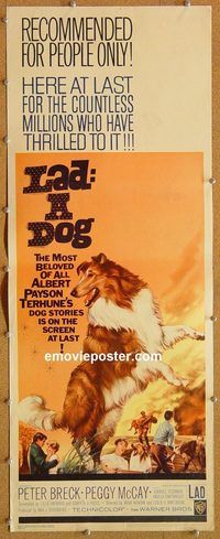w298 LAD A DOG insert movie poster '61 wonderful Collie dog image!