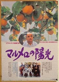 w710 DREAM OF LIGHT Japanese movie poster '93 Antonio Lopez Garcia