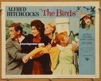 s096 BIRDS movie lobby card #1 '63 Alfred Hitchcock, Rod Taylor