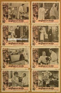 s172 CURSE OF THE FLY 8 movie lobby cards '65 Brian Donlevy, Baker