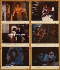 s257 FLY 6 movie lobby cards '86 David Cronenberg, Jeff Goldblum