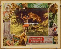 s261 FORBIDDEN ADVENTURE movie lobby card c30s nude native attacked!