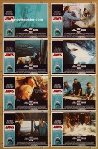 s402 JAWS 8 movie lobby cards '75 Steven Spielberg classic shark!