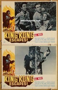 s431 KING KONG ESCAPES 2 movie lobby cards '68 Toho, Ishiro Honda