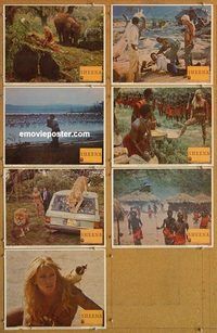 s634 SHEENA 7 movie lobby cards '84 sexy Tanya Roberts, Africa!