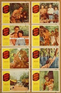 a036 BOMBA & THE JUNGLE GIRL 8 movie lobby cards '53 Johnny Sheffield