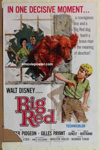 c178 BIG RED one-sheet movie poster '62 Walt Disney, Pigeon, Irish Setter!